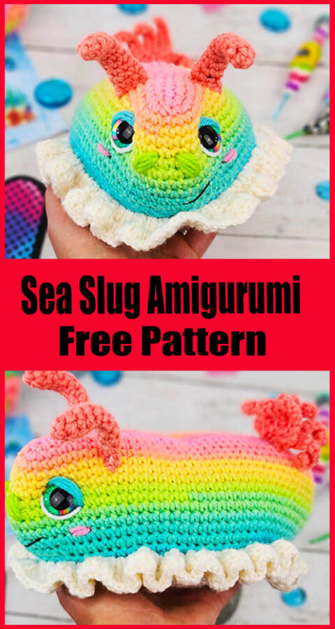 Rainbow Sea Slug Free Amigurumi Crochet Pattern