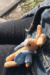 Conejito de Bolsillo Amigurumi Patrón gratis (1)