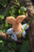 Conejito de Bolsillo Amigurumi Patrón gratis(3)