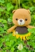 Oso de Girasol Amigurumi Patrón Gratis