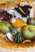 Salem En La Calabaza Amigurumi Patrón Gratis (4)