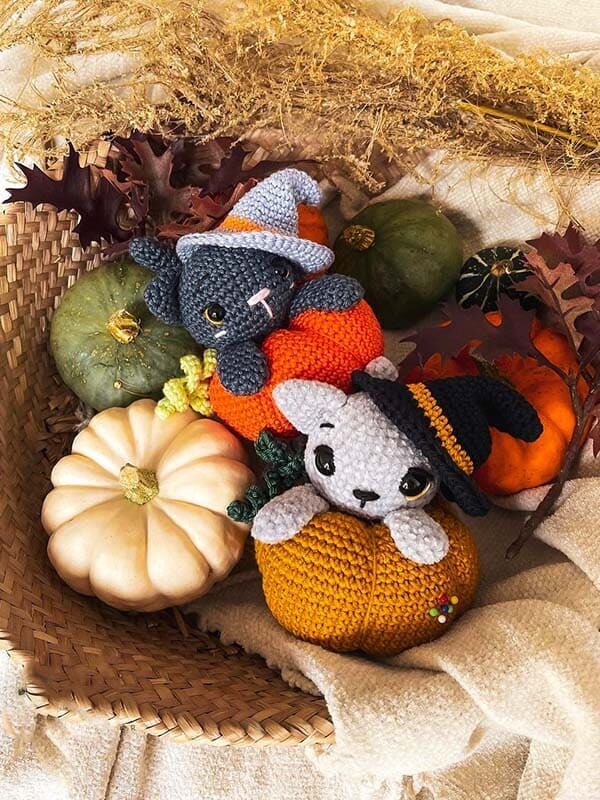 Salem En La Calabaza Amigurumi Patrón Gratis
