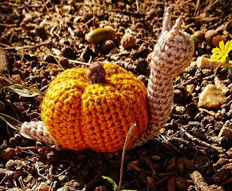 Crochet Pumpkin Snail PDF Amigurumi Free Pattern