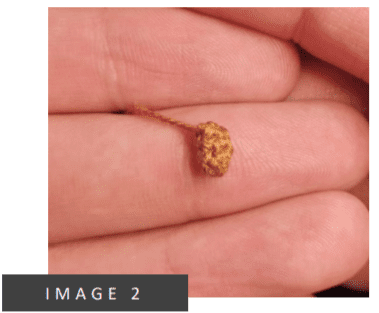 Tiny Crochet Christmas Tree Amigurumi Free Pattern stem