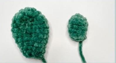 Crochet Christmas Cactus Ornament Free Pattern-body-1