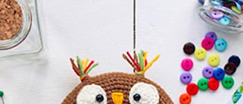 Crochet Owl Donut Amigurumi Free PDF Pattern